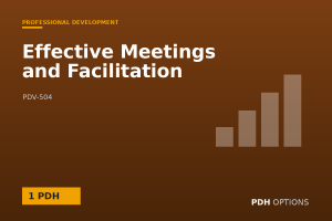 Effective Meetings and Facilitation — PDH Options course cover