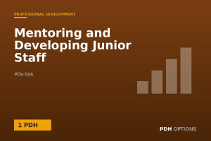 Mentoring and Developing Junior Staff — PDH Options course cover