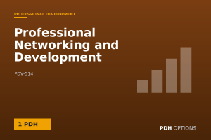 Professional Networking and Development — PDH Options course cover