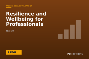 Resilience and Wellbeing for Professionals — PDH Options course cover